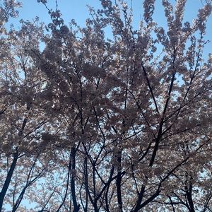 Meet your Posher, Ashlie